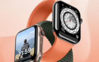苹果Apple Watch已经实现了其最高的半年配售率
