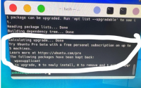 Ubuntu 在终端界面打广告