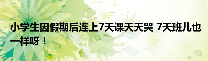 小学生因假期后连上7天课天天哭 7天班儿也一样呀！