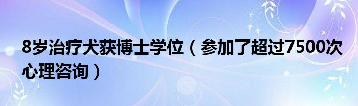 8岁治疗犬获博士学位（参加了超过7500次心理咨询）