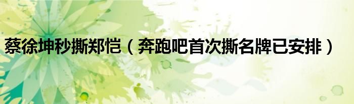 蔡徐坤秒撕郑恺（奔跑吧首次撕名牌已安排）