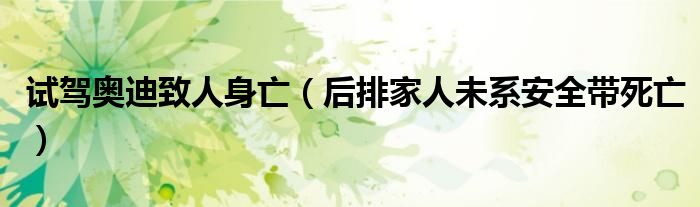  试驾奥迪致人身亡（后排家人未系安全带死亡）