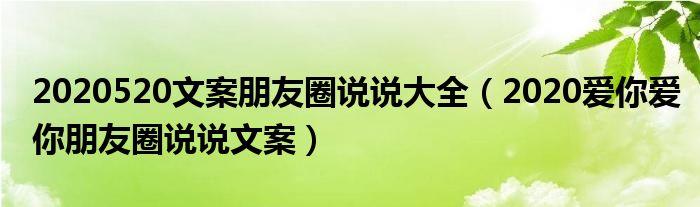 2020520文案朋友圈说说大全（2020爱你爱你朋友圈说说文案）