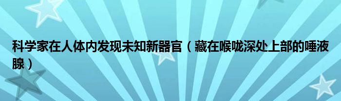 科学家在人体内发现未知新器官（藏在喉咙深处上部的唾液腺）