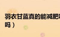 羽衣甘蓝真的能减肥吗（羽衣甘蓝有减肥效果吗）