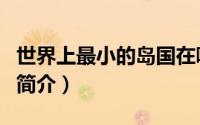 世界上最小的岛国在哪里（世界上最小的岛国简介）