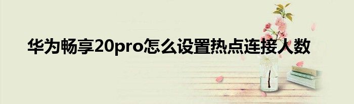 华为畅享20pro怎么设置热点连接人数