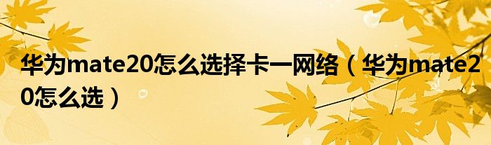 华为mate20怎么选择卡一网络（华为mate20怎么选）