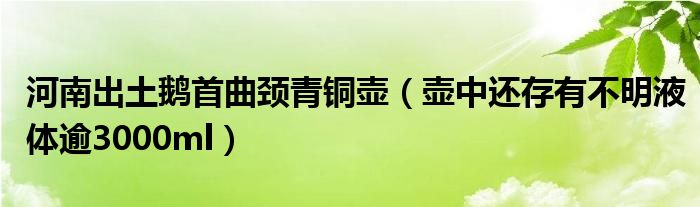 河南出土鹅首曲颈青铜壶（壶中还存有不明液体逾3000ml）