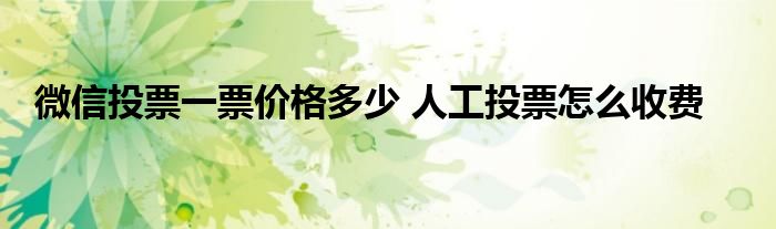 微信投票一票价格多少 人工投票怎么收费