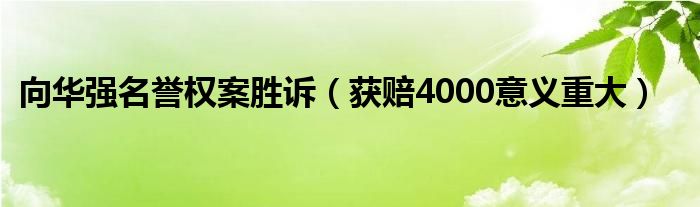 向华强名誉权案胜诉（获赔4000意义重大）
