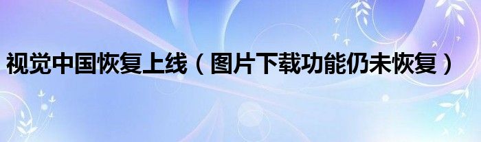 视觉中国恢复上线（图片下载功能仍未恢复）