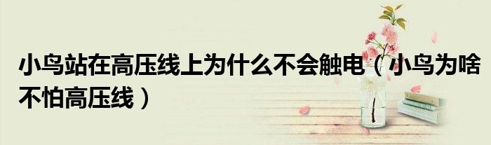 小鸟站在高压线上为什么不会触电（小鸟为啥不怕高压线）