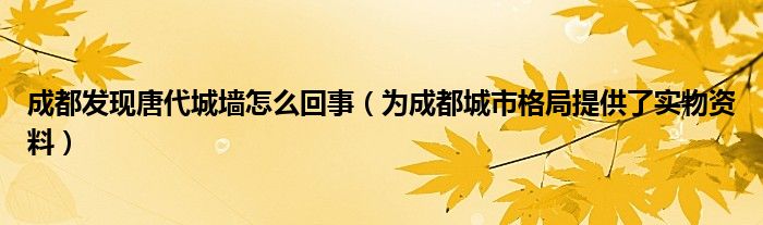  成都发现唐代城墙怎么回事（为成都城市格局提供了实物资料）
