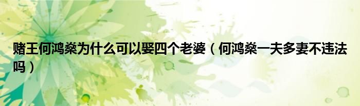 赌王何鸿燊为什么可以娶四个老婆（何鸿燊一夫多妻不违法吗）
