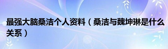 最强大脑桑洁个人资料（桑洁与魏坤琳是什么关系）