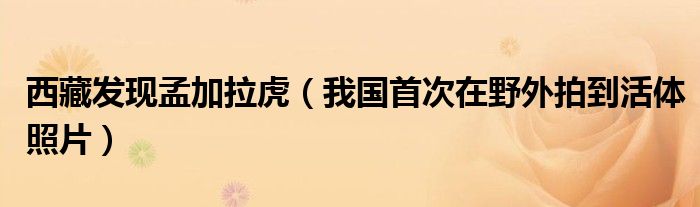 西藏发现孟加拉虎（我国首次在野外拍到活体照片）