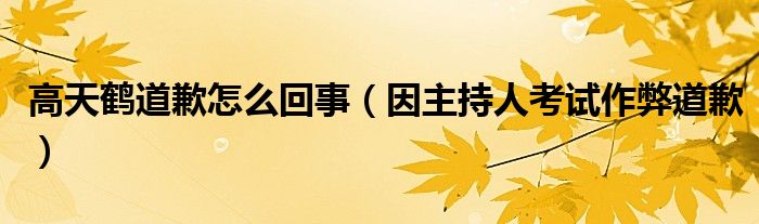 高天鹤道歉怎么回事（因主持人考试作弊道歉）
