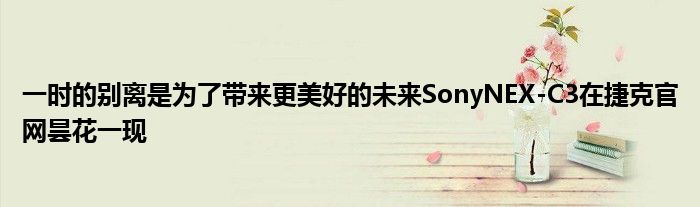 一时的别离是为了带来更美好的未来SonyNEX