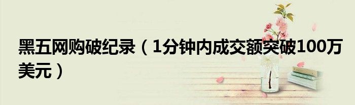 黑五网购破纪录（1分钟内成交额突破100万美元）