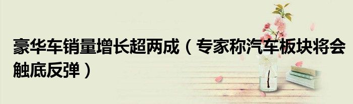豪华车销量增长超两成（专家称汽车板块将会触底反弹）