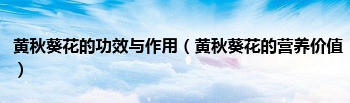 黄秋葵花的功效与作用（黄秋葵花的营养价值）