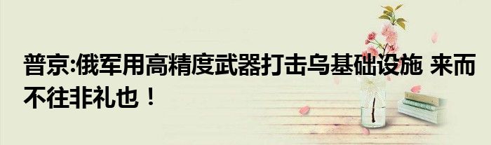 普京:俄军用高精度武器打击乌基础设施 来而不往非礼也！