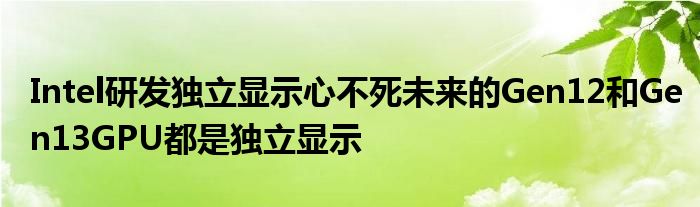 Intel研发独立显示心不死未来的Gen12和Gen13GPU都是独立显示