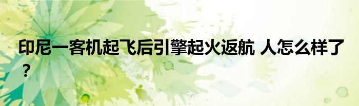 印尼一客机起飞后引擎起火返航 人怎么样了？