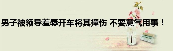 男子被领导羞辱开车将其撞伤 不要意气用事！