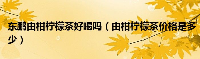 东鹏由柑柠檬茶好喝吗（由柑柠檬茶价格是多少）