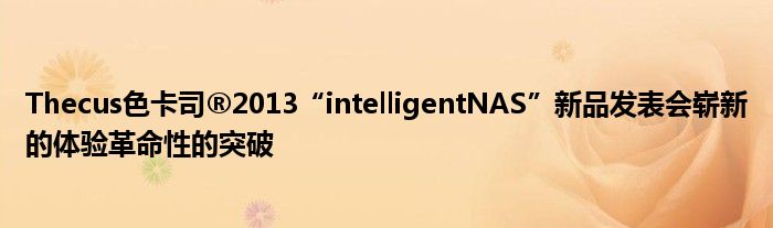 Thecus色卡司®2013“intelligentNAS”新品发表会崭新的体验革命性的突破