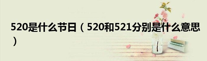 520是什么节日（520和521分别是什么意思）