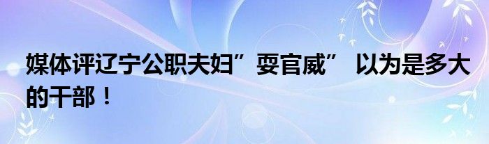 媒体评辽宁公职夫妇”耍官威” 以为是多大的干部！