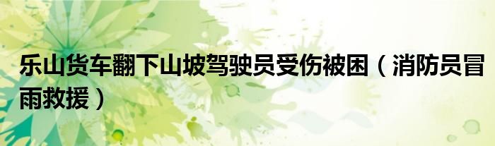 乐山货车翻下山坡驾驶员受伤被困（消防员冒雨救援）
