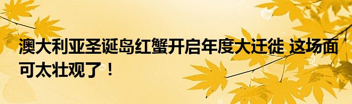 澳大利亚圣诞岛红蟹开启年度大迁徙 这场面可太壮观了！