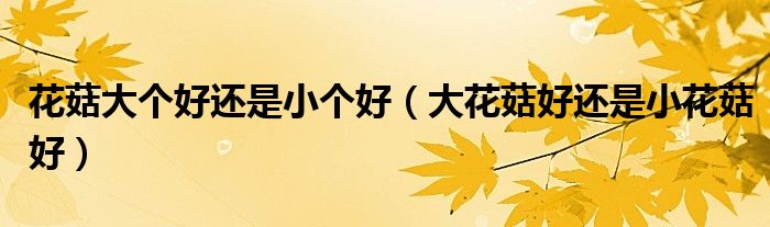 花菇大个好还是小个好（大花菇好还是小花菇好）