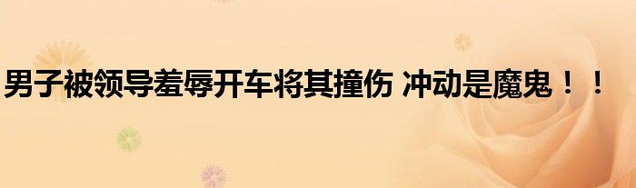 男子被领导羞辱开车将其撞伤 冲动是魔鬼！！