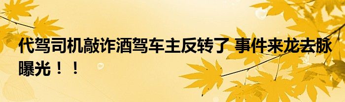 代驾司机敲诈酒驾车主反转了 事件来龙去脉曝光！！
