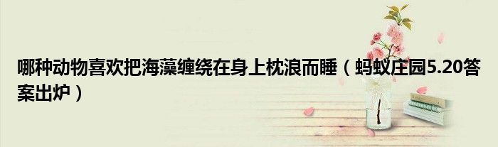 哪种动物喜欢把海藻缠绕在身上枕浪而睡（蚂蚁庄园5.20答案出炉）