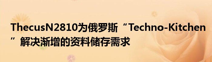 ThecusN2810为俄罗斯“Techno