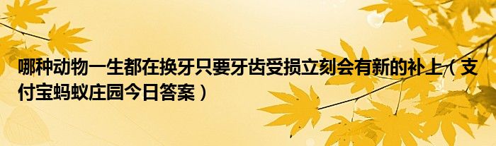 哪种动物一生都在换牙只要牙齿受损立刻会有新的补上（支付宝蚂蚁庄园今日答案）