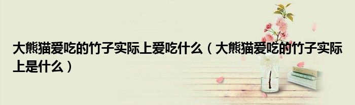 大熊猫爱吃的竹子实际上爱吃什么（大熊猫爱吃的竹子实际上是什么）