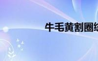 牛毛黄割圈绒有什么用途
