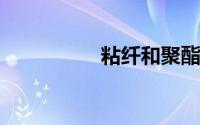 粘纤和聚酯纤维哪个贵