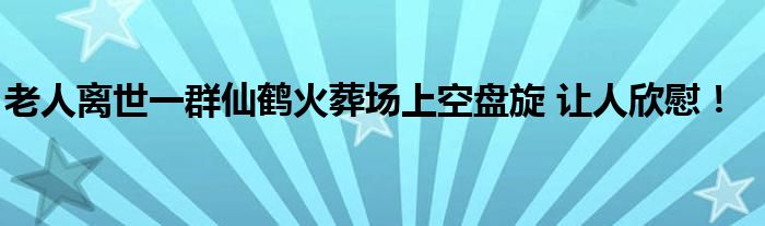 老人离世一群仙鹤火葬场上空盘旋 让人欣慰！