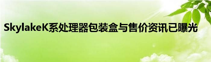 SkylakeK系处理器包装盒与售价资讯已曝光