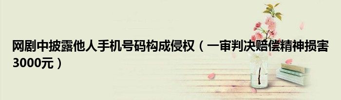 网剧中披露他人手机号码构成侵权（一审判决赔偿精神损害3000元）