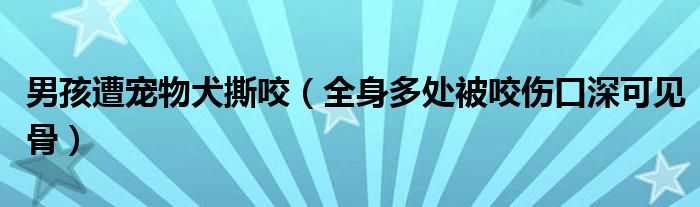 男孩遭宠物犬撕咬（全身多处被咬伤口深可见骨）
