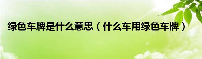 绿色车牌是什么意思（什么车用绿色车牌）